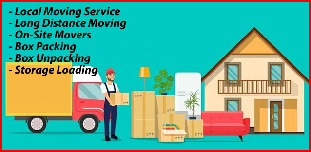 Packers And Movers Noida Sector 147